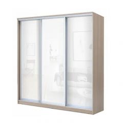 Шкаф-купе ХИТ 24-4-20-888 (420) в Чайковском - chaykovskiy.mebel24.online | фото 7
