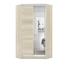 Шкаф-купе ХИТ-У-L-24-64-15 в Чайковском - chaykovskiy.mebel24.online | фото 8