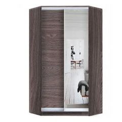 Шкаф-купе ХИТ-У-L-24-64-15 в Чайковском - chaykovskiy.mebel24.online | фото 11