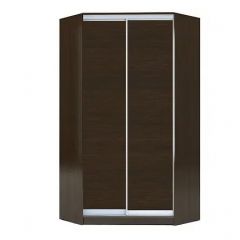 Шкаф-купе ХИТ-У-R-22-64-11 в Чайковском - chaykovskiy.mebel24.online | фото