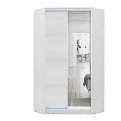 Шкаф-купе ХИТ-У-R-22-64-15 в Чайковском - chaykovskiy.mebel24.online | фото 2
