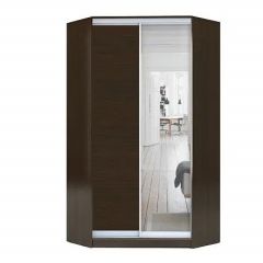 Шкаф-купе ХИТ-У-R-22-64-15 в Чайковском - chaykovskiy.mebel24.online | фото