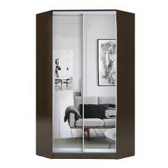 Шкаф-купе ХИТ-У-R-22-64-55 в Чайковском - chaykovskiy.mebel24.online | фото