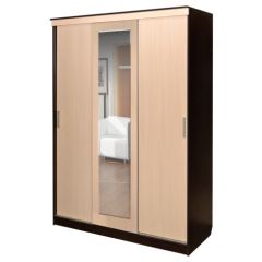 Шкаф-купе ПШ-1.3 М 1630 в Чайковском - chaykovskiy.mebel24.online | фото