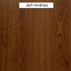 Шкаф многоцелевой №666 "Флоренция" Дуб оксфорд в Чайковском - chaykovskiy.mebel24.online | фото 3