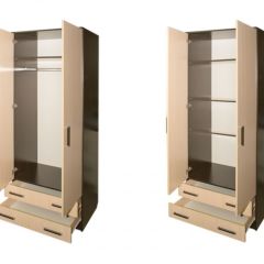 Шкаф распашной ПШ-3.8 в Чайковском - chaykovskiy.mebel24.online | фото 2