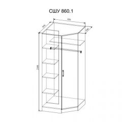 СОФИ СШУ860.1 Шкаф угловой в Чайковском - chaykovskiy.mebel24.online | фото 2