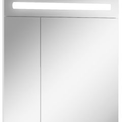 Шкаф-зеркало Аврора 65 с подсветкой LED Домино (DV8006HZ) в Чайковском - chaykovskiy.mebel24.online | фото