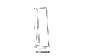 АЛЕКСАНДРИЯ-9.1 Зеркало напольное в Чайковском - chaykovskiy.mebel24.online | фото 2