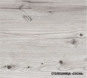 АСАЯ Кухонный гарнитур Экстра 2 (3000 мм) ПМ в Чайковском - chaykovskiy.mebel24.online | фото 8