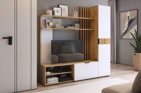 БЕРИ К1 Гостиная в Чайковском - chaykovskiy.mebel24.online | фото