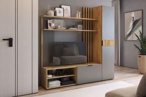 БЕРИ К1 Гостиная в Чайковском - chaykovskiy.mebel24.online | фото 2