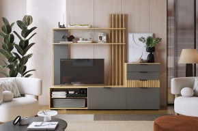БЕРИ К3 Гостиная в Чайковском - chaykovskiy.mebel24.online | фото 2