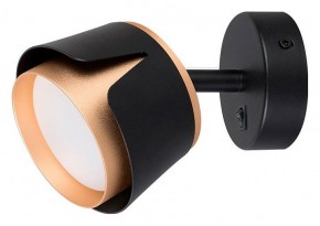 Бра Arte Lamp Amaks A8028AP-1BK в Чайковском - chaykovskiy.mebel24.online | фото