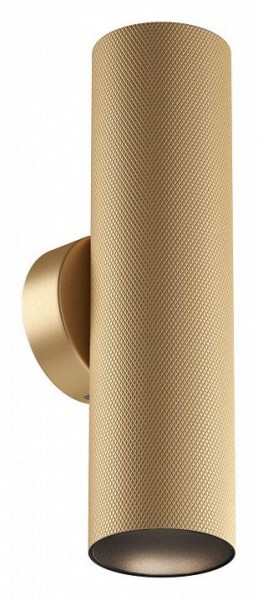Бра Maytoni Artisan C080WL-02-GU10-MG в Чайковском - chaykovskiy.mebel24.online | фото
