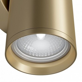 Бра Maytoni Focus S C068WL-02MG в Чайковском - chaykovskiy.mebel24.online | фото 4