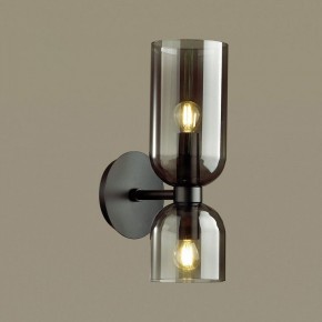 Бра Odeon Light Orinoco 4804/2W в Чайковском - chaykovskiy.mebel24.online | фото 2