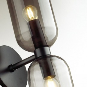 Бра Odeon Light Orinoco 4804/2W в Чайковском - chaykovskiy.mebel24.online | фото 4