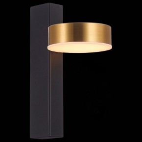 Бра ST-Luce Pances SL6000.301.01 в Чайковском - chaykovskiy.mebel24.online | фото 4