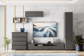 ДЕНВЕР Тумба для ТВА (Графит серый) в Чайковском - chaykovskiy.mebel24.online | фото 4