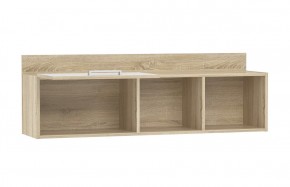 Детская Фанк Полка НМ 011.38-01 M1 в Чайковском - chaykovskiy.mebel24.online | фото 2