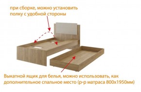 Дуглас (подростковая) М14 Кровать в Чайковском - chaykovskiy.mebel24.online | фото 5