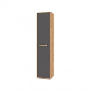 ФЛОРИДА Ф11 Шкаф-пенал (дуб золотой/графит) в Чайковском - chaykovskiy.mebel24.online | фото