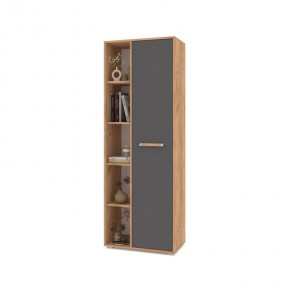 ФЛОРИДА Ф12 Шкаф-стеллаж (дуб золотой/графит) в Чайковском - chaykovskiy.mebel24.online | фото