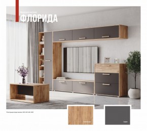 ФЛОРИДА Гостиная (модульная) дуб золотой/графит в Чайковском - chaykovskiy.mebel24.online | фото