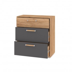 ФЛОРИДА Гостиная (модульная) дуб золотой/графит в Чайковском - chaykovskiy.mebel24.online | фото 10