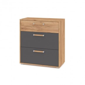 ФЛОРИДА Гостиная (модульная) дуб золотой/графит в Чайковском - chaykovskiy.mebel24.online | фото 8