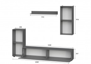 Гостиная МГС 10 (Графит) в Чайковском - chaykovskiy.mebel24.online | фото 2