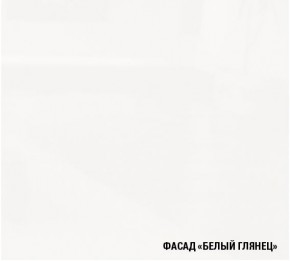 ЖАСМИН Кухонный гарнитур Экстра 2 (3000 мм) в Чайковском - chaykovskiy.mebel24.online | фото 5