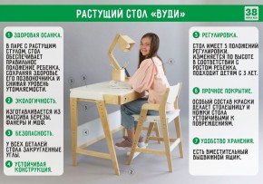 Комплект растущий стол и стул с чехлом 38 попугаев «Вуди» (Белый, Белый, Клетка) в Чайковском - chaykovskiy.mebel24.online | фото