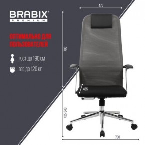 Кресло офисное BRABIX PREMIUM "Ultimate EX-801" хром, плотная двойная сетка Х2, черное/серое, 532918 в Чайковском - chaykovskiy.mebel24.online | фото 5