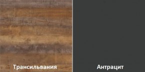 Кухонный гарнитур угловой Трансильвания 2600х1600 мм (Стол. 26 мм) в Чайковском - chaykovskiy.mebel24.online | фото 3