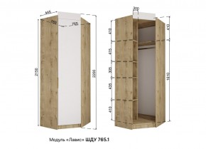 ЛАВИС Детская (модульная) белый/роза-белый софт/ручка золотая в Чайковском - chaykovskiy.mebel24.online | фото 11