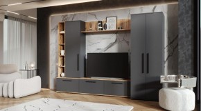 ЛЕВАНТЕ Гостиная в Чайковском - chaykovskiy.mebel24.online | фото 1