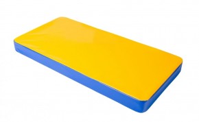 Мат гимнастический 1х0,5х0,08м цв. синий-желтый в Чайковском - chaykovskiy.mebel24.online | фото