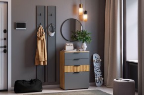МЕБЕЛЬСОН К21 Прихожая в Чайковском - chaykovskiy.mebel24.online | фото 2