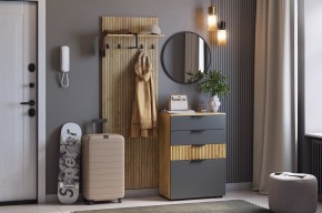 МЕБЕЛЬСОН К3 Прихожая (графит) в Чайковском - chaykovskiy.mebel24.online | фото