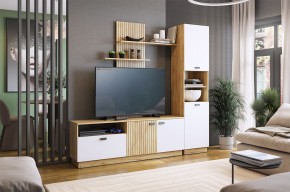 МОДИ К1 Гостиная (белое дерево) в Чайковском - chaykovskiy.mebel24.online | фото