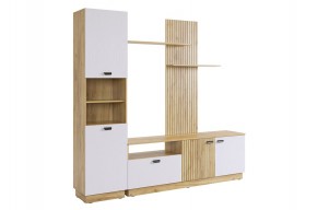МОДИ К1 Гостиная (белое дерево) в Чайковском - chaykovskiy.mebel24.online | фото 6