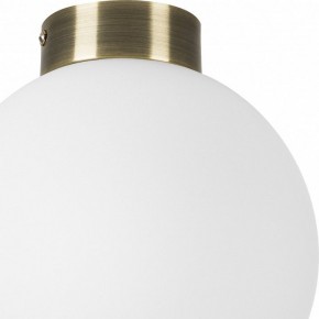 Накладной светильник Lightstar Globo 812021 в Чайковском - chaykovskiy.mebel24.online | фото 3