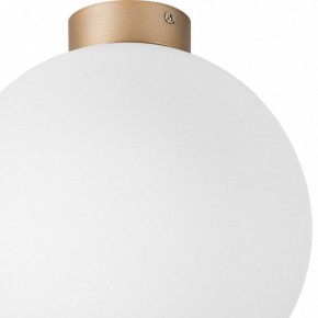 Накладной светильник Lightstar Globo 812033 в Чайковском - chaykovskiy.mebel24.online | фото 2