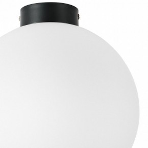 Накладной светильник Lightstar Globo 812037 в Чайковском - chaykovskiy.mebel24.online | фото 3