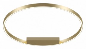 Накладной светильник Maytoni Rim MOD058CL-L50BSK в Чайковском - chaykovskiy.mebel24.online | фото 2