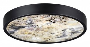Накладной светильник Odeon Light Bergi 5064/30L в Чайковском - chaykovskiy.mebel24.online | фото 4