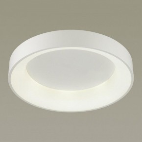 Накладной светильник Odeon Light Sole 4062/50CL в Чайковском - chaykovskiy.mebel24.online | фото 2