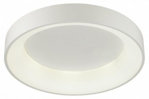 Накладной светильник Odeon Light Sole 4062/50CL в Чайковском - chaykovskiy.mebel24.online | фото 3